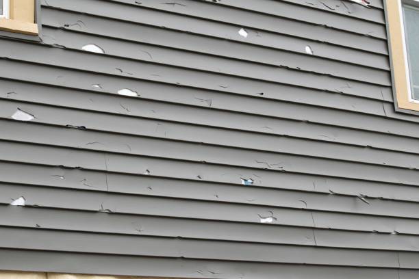 Best Fiber Cement Siding Installation  in Naco, AZ