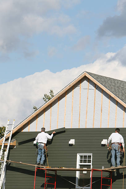 Best Custom Trim and Detailing for Siding  in Naco, AZ
